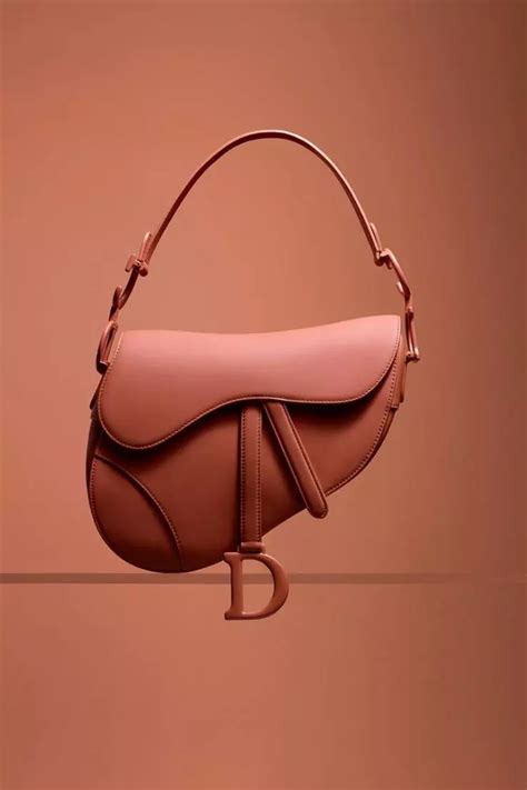 dior trendy bag|dior japan bag.